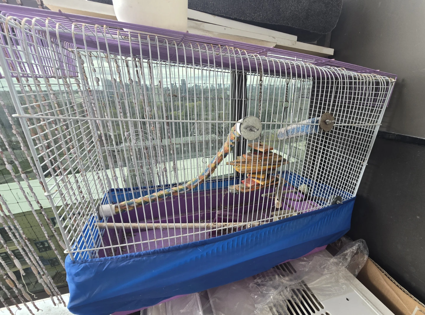 Bird Cage