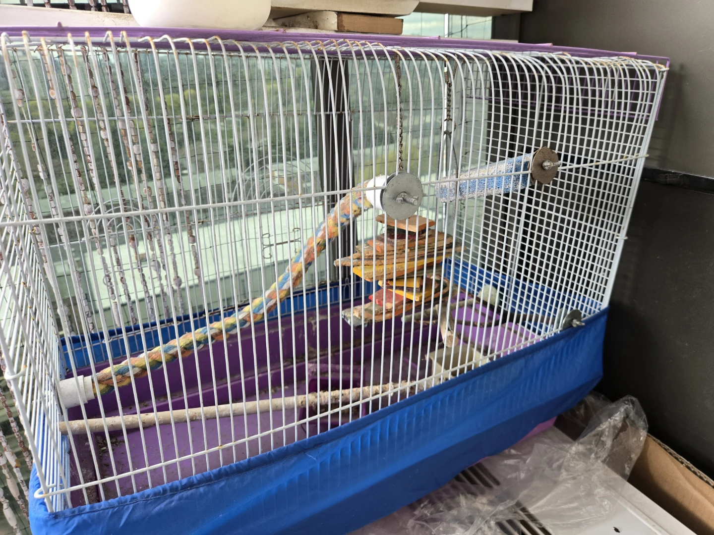 Bird Cage - photo 2