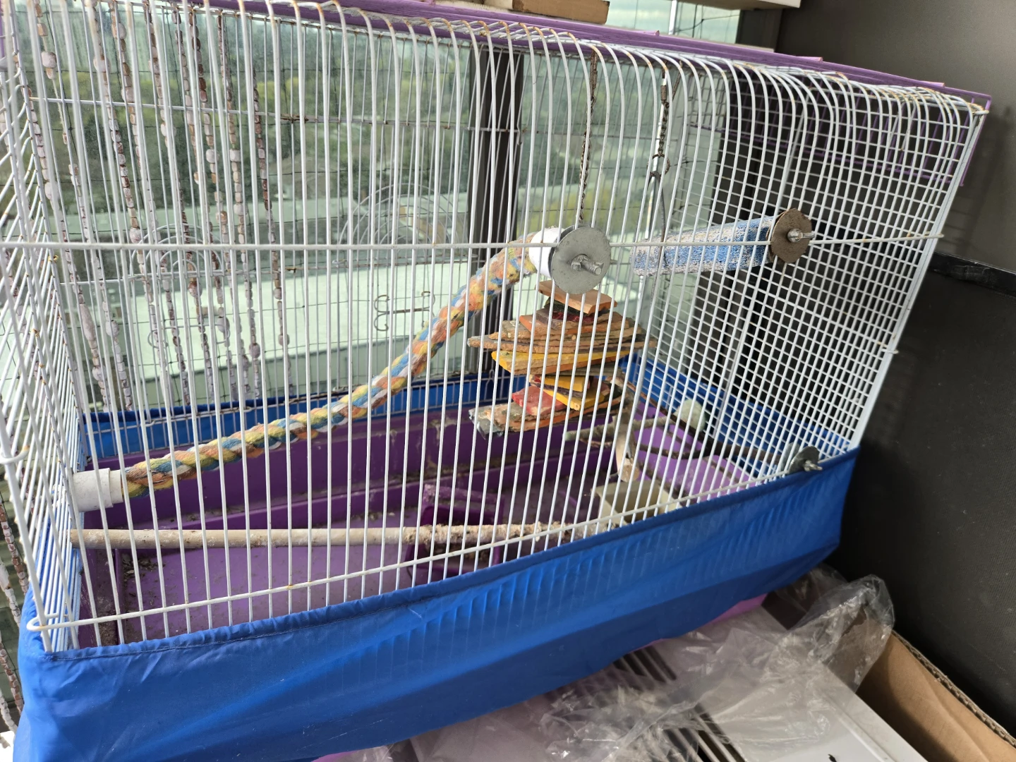 Bird Cage - photo 3