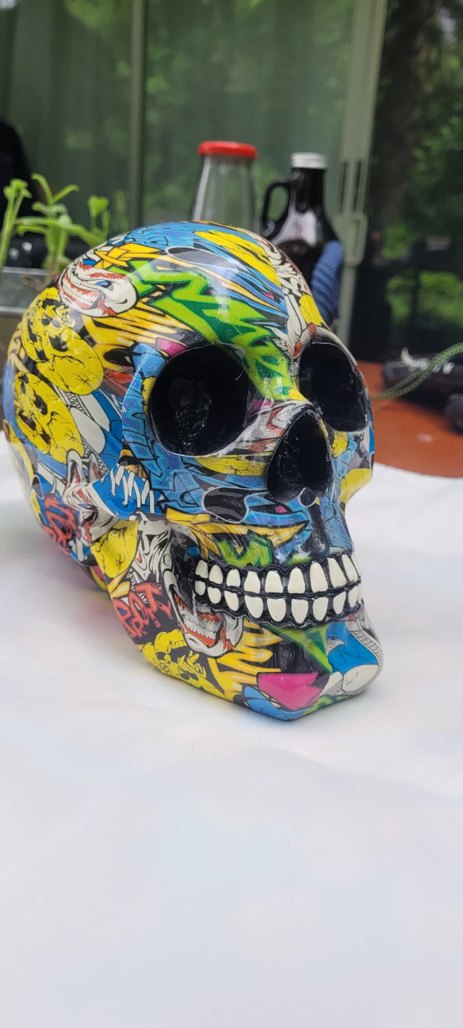 Colorful skull