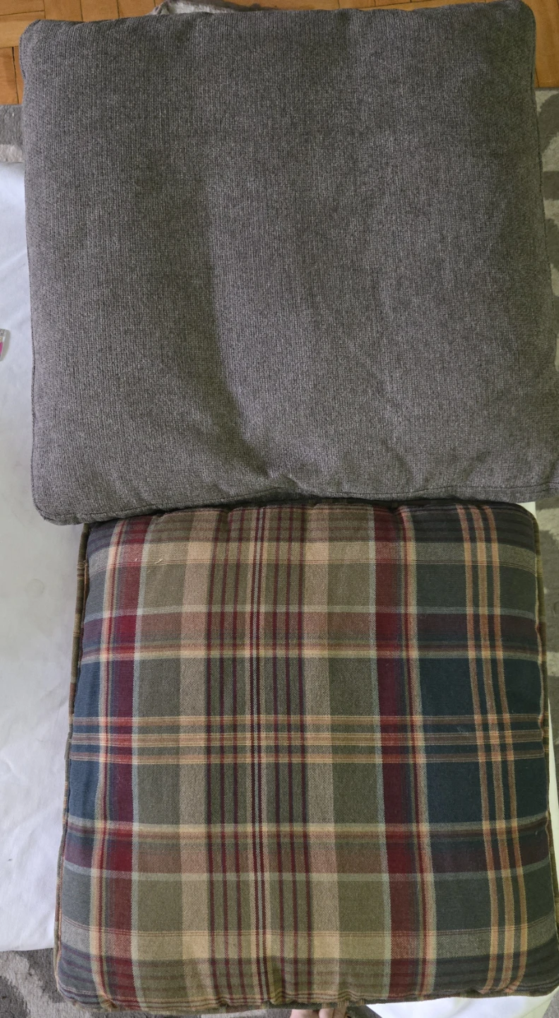 Set of 2 Decorative Pillows