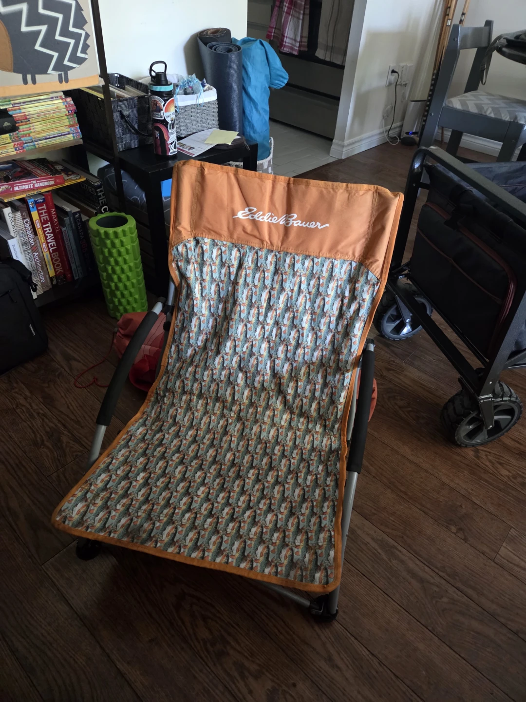 Eddie Bauer Camp Chair Low