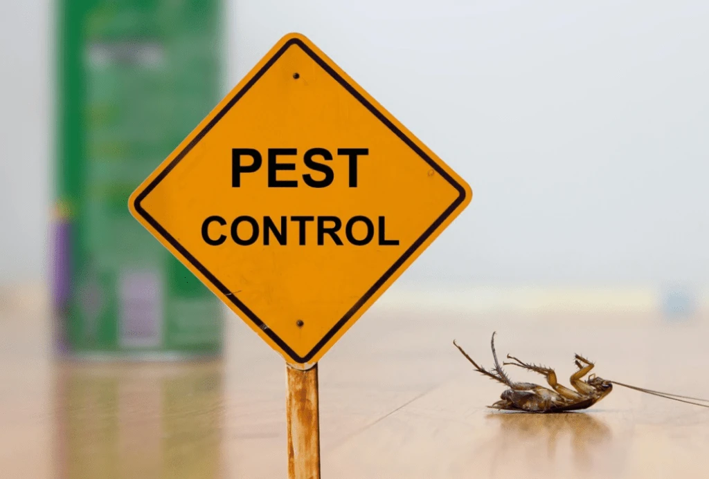 90 Days Warranty Pest Control Services