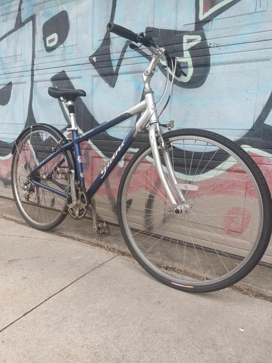 2 Bikes Giant, garyfisher $220 Each - photo 2