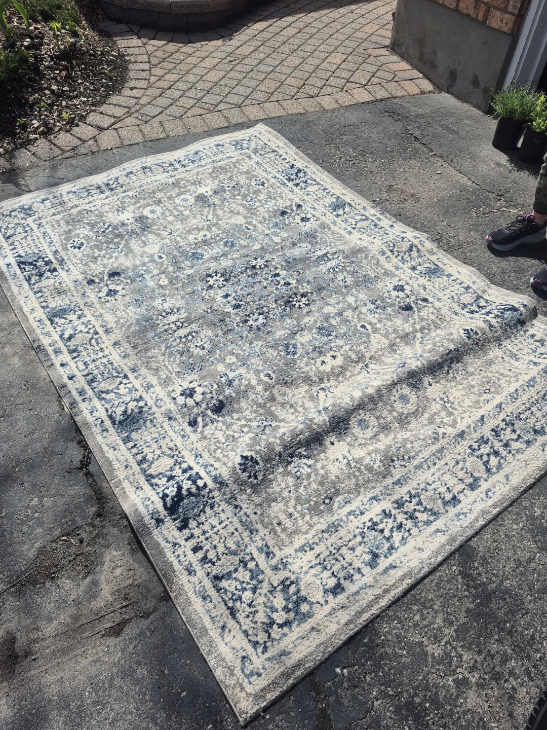 5 by 8 area rug FREE