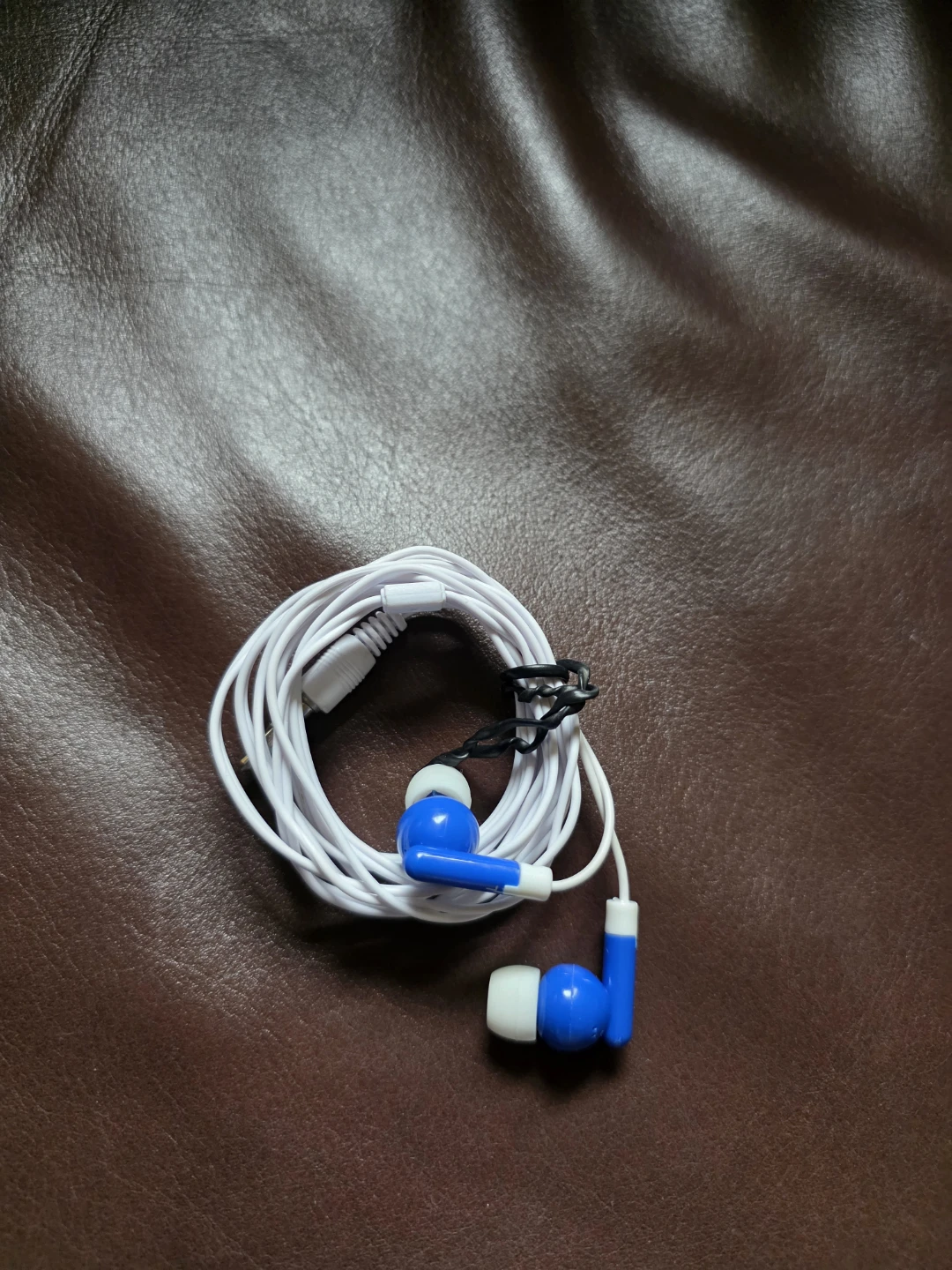 Blue and White Earbuds with 3.5mm Jack