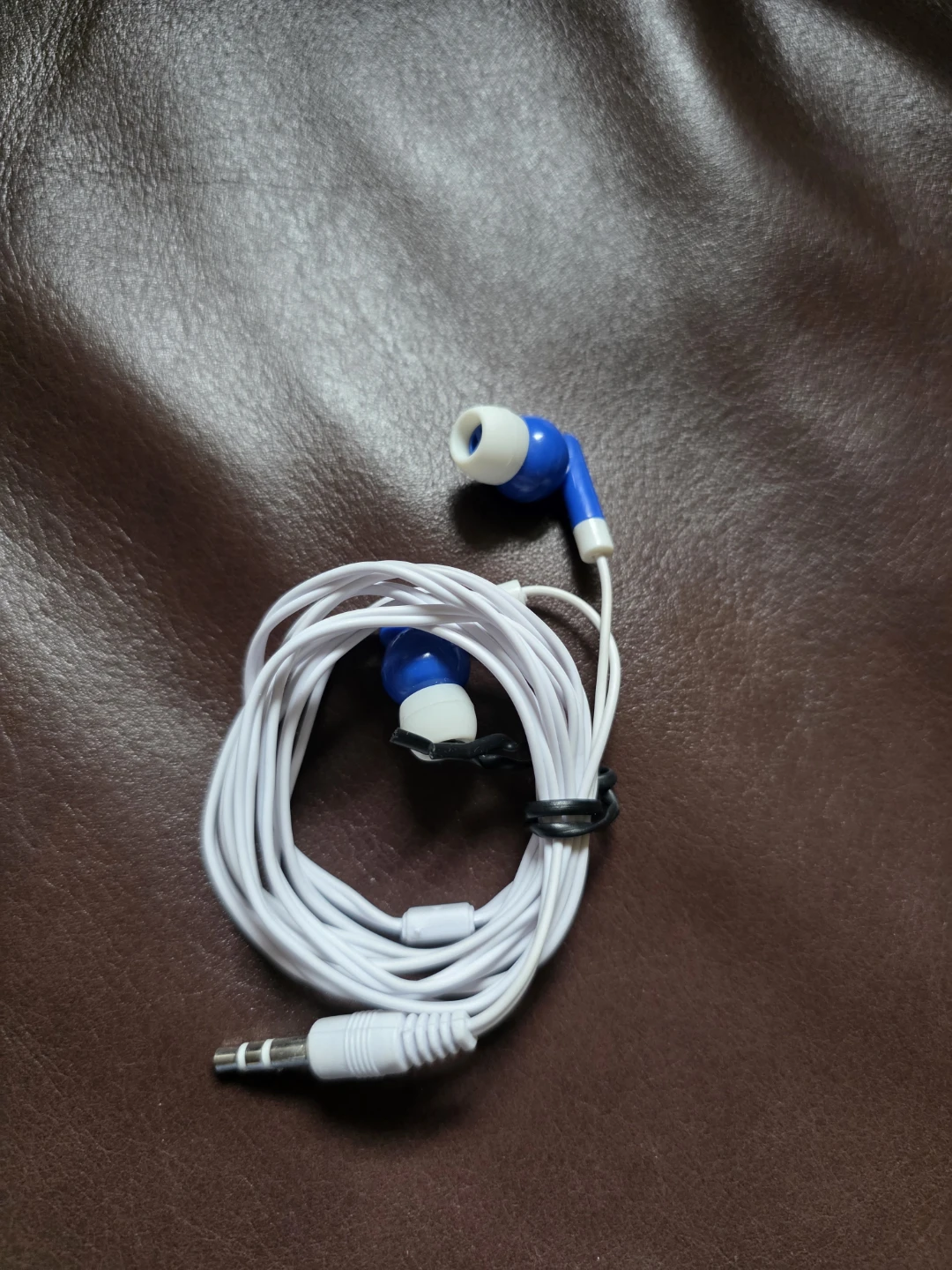 Blue and White Earbuds with 3.5mm Jack - photo 2