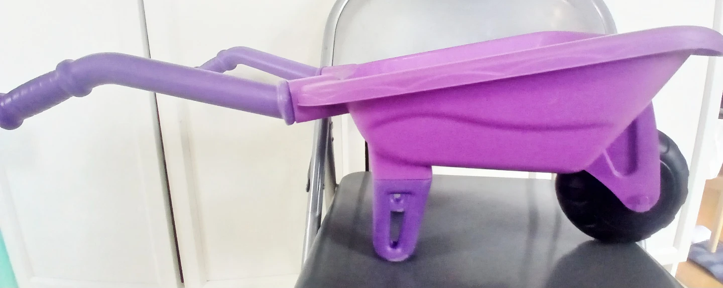 FREE Kids Toy Shopping Cart & Wheelbarrow Set - photo 5