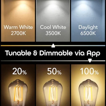 Merkury Innovations Smart Wi-Fi ST21 Edison LED Bulbs (2 Pack) - photo 3