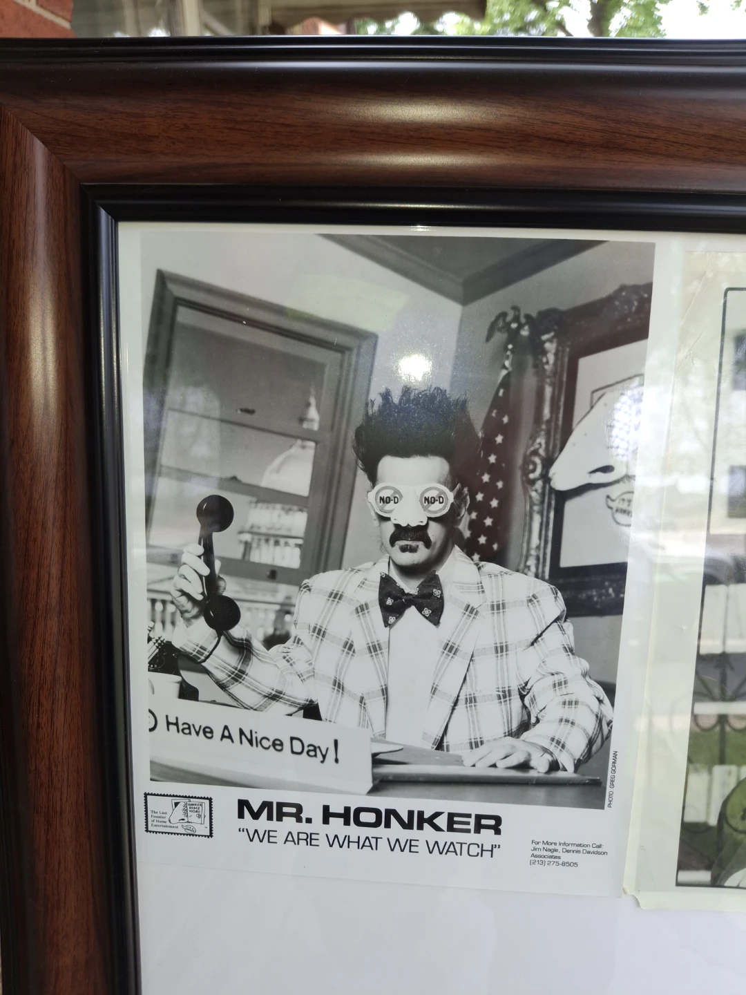 Framed Frank Zappa & Mr. Honker Memorabilia - photo 4