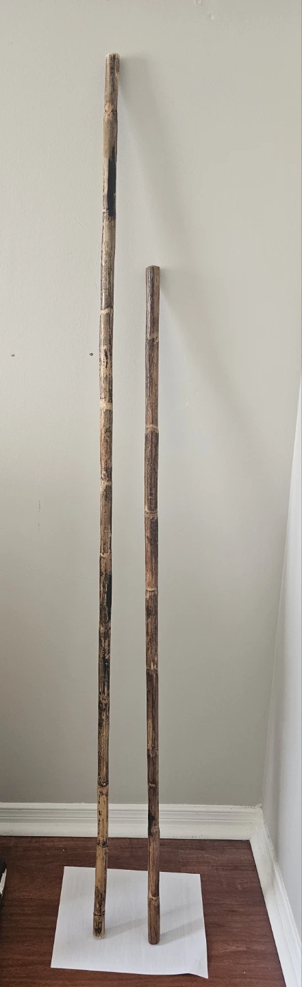 Two Natural Bamboo Poles (Silambam Martial art Poles )