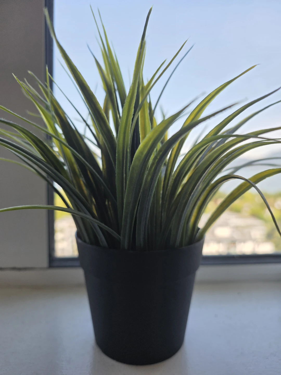 Artificial Grass Plant in Black Pot