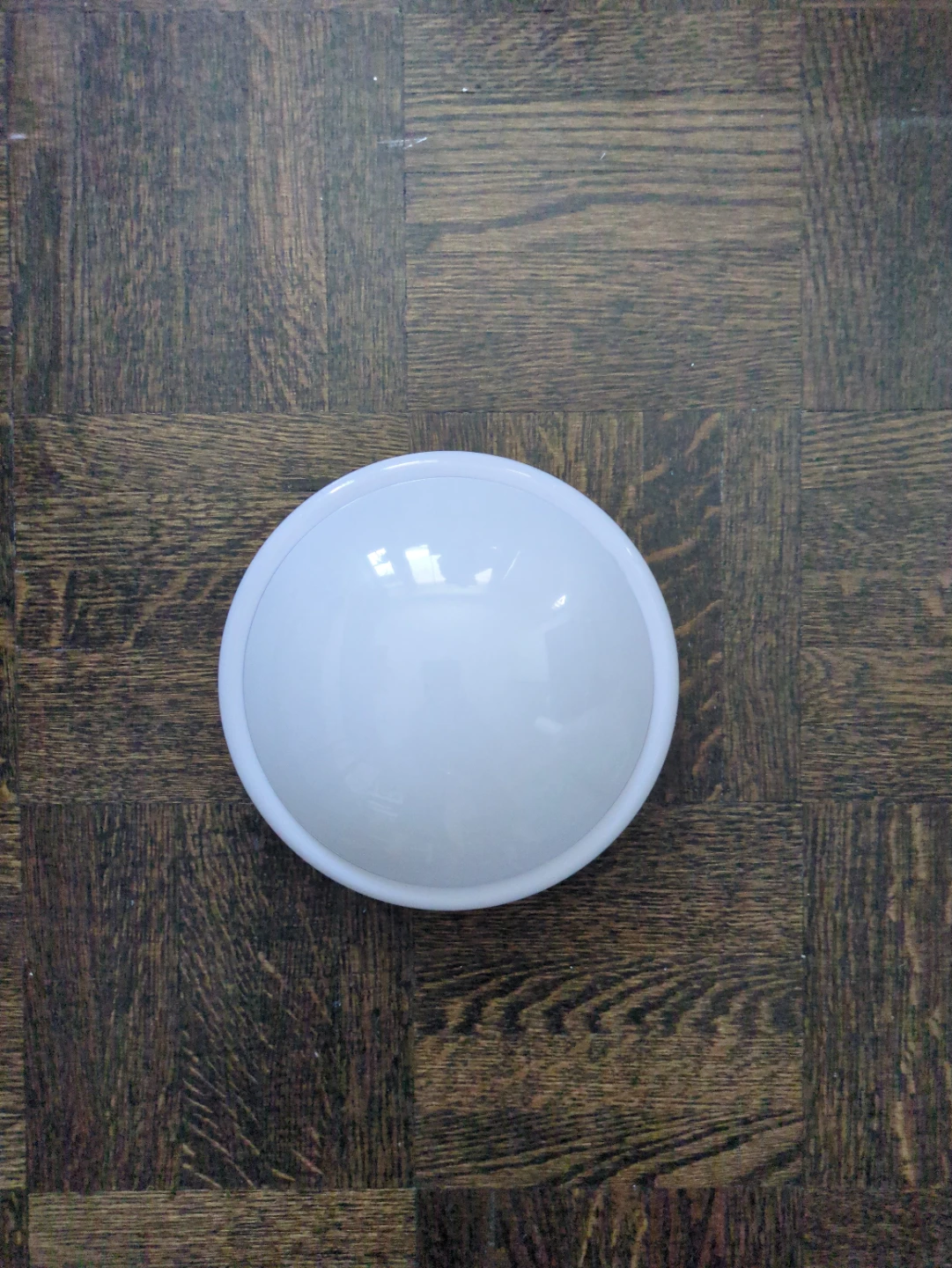 Globe Electric LED Cool-White Push Light