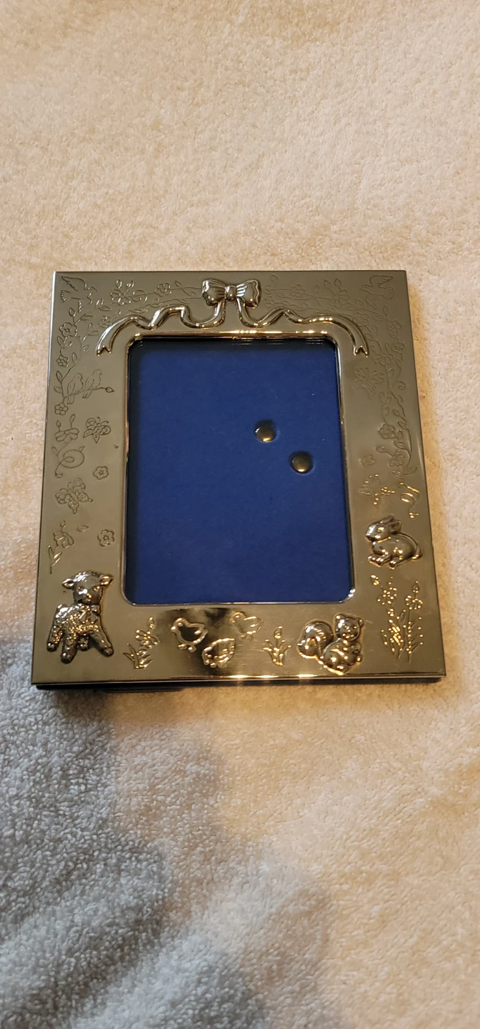 Silver  Picture Frame polished