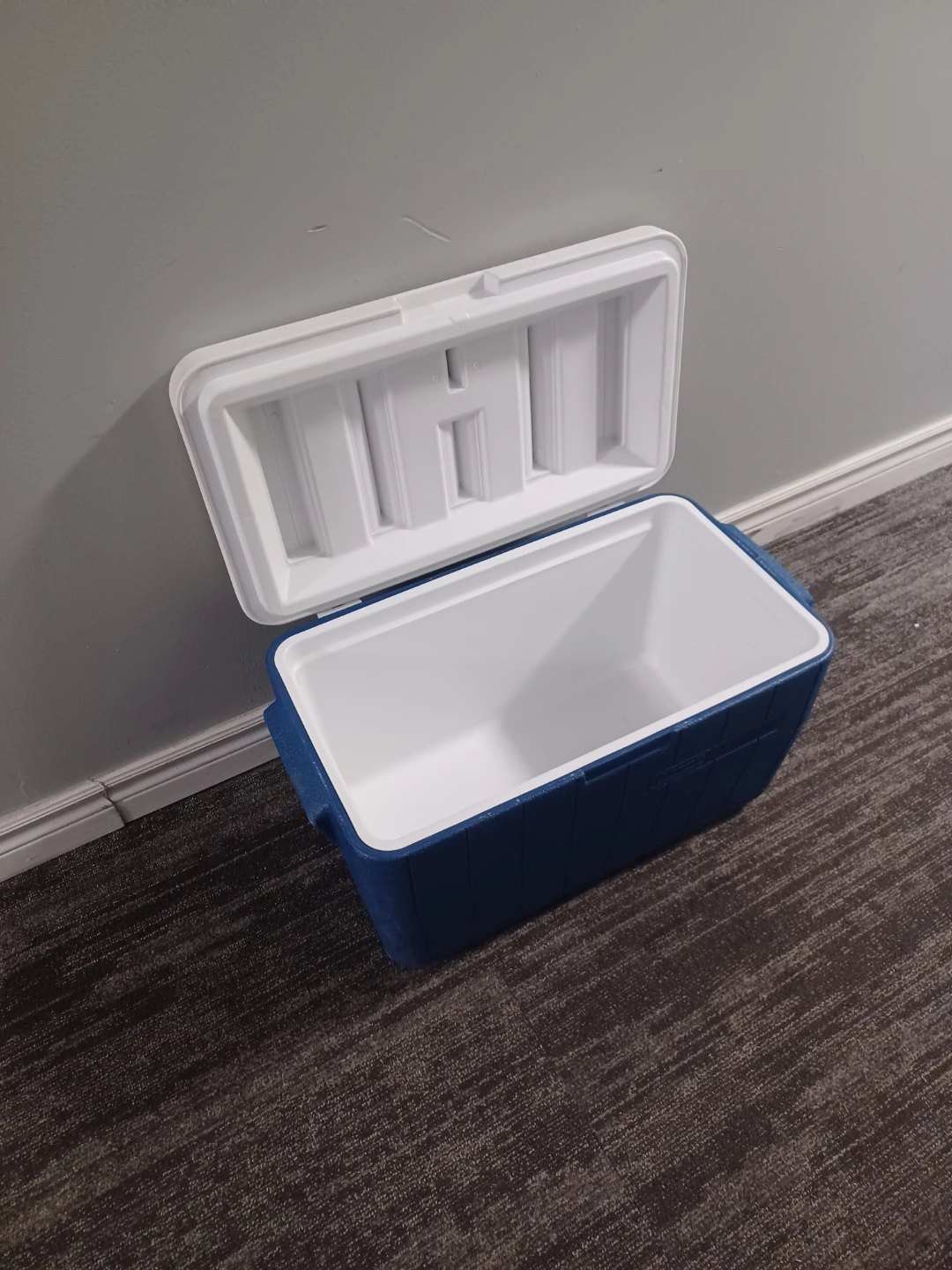 Coleman Cooler - photo 4