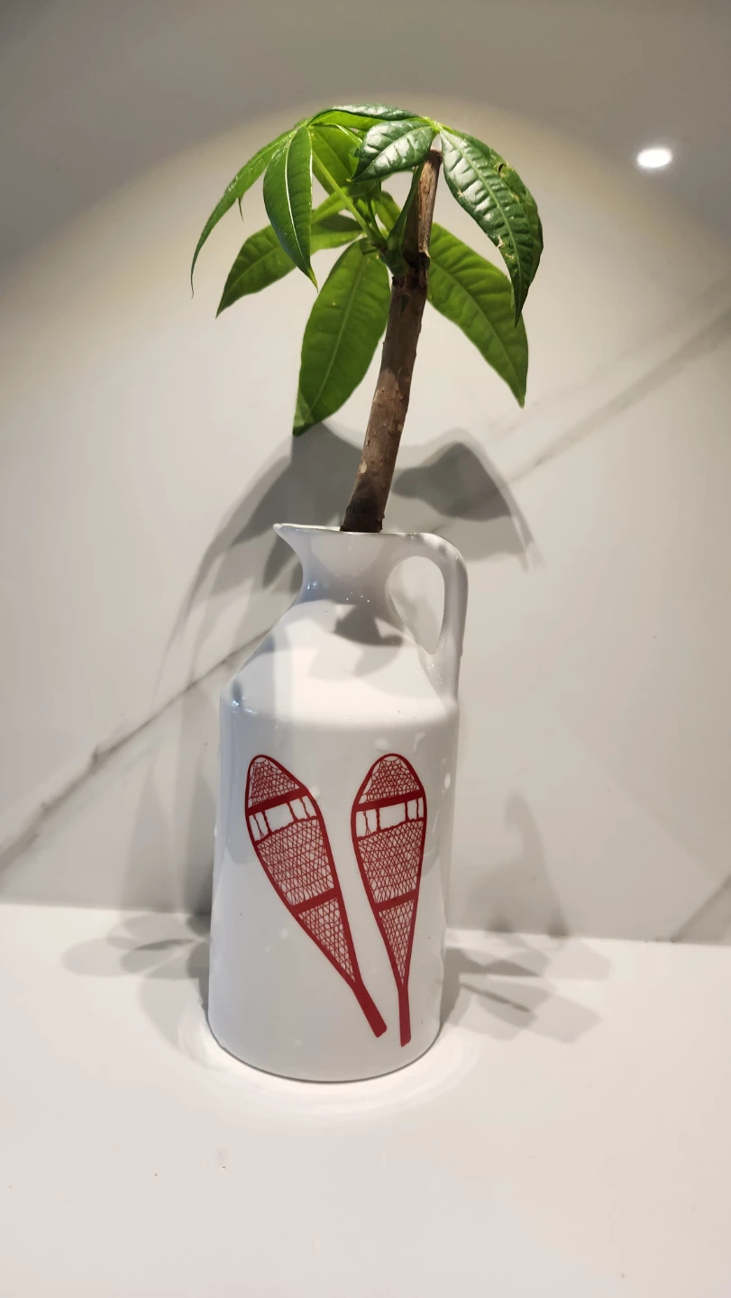 Canadiana upcycled Avon jug planter with plants