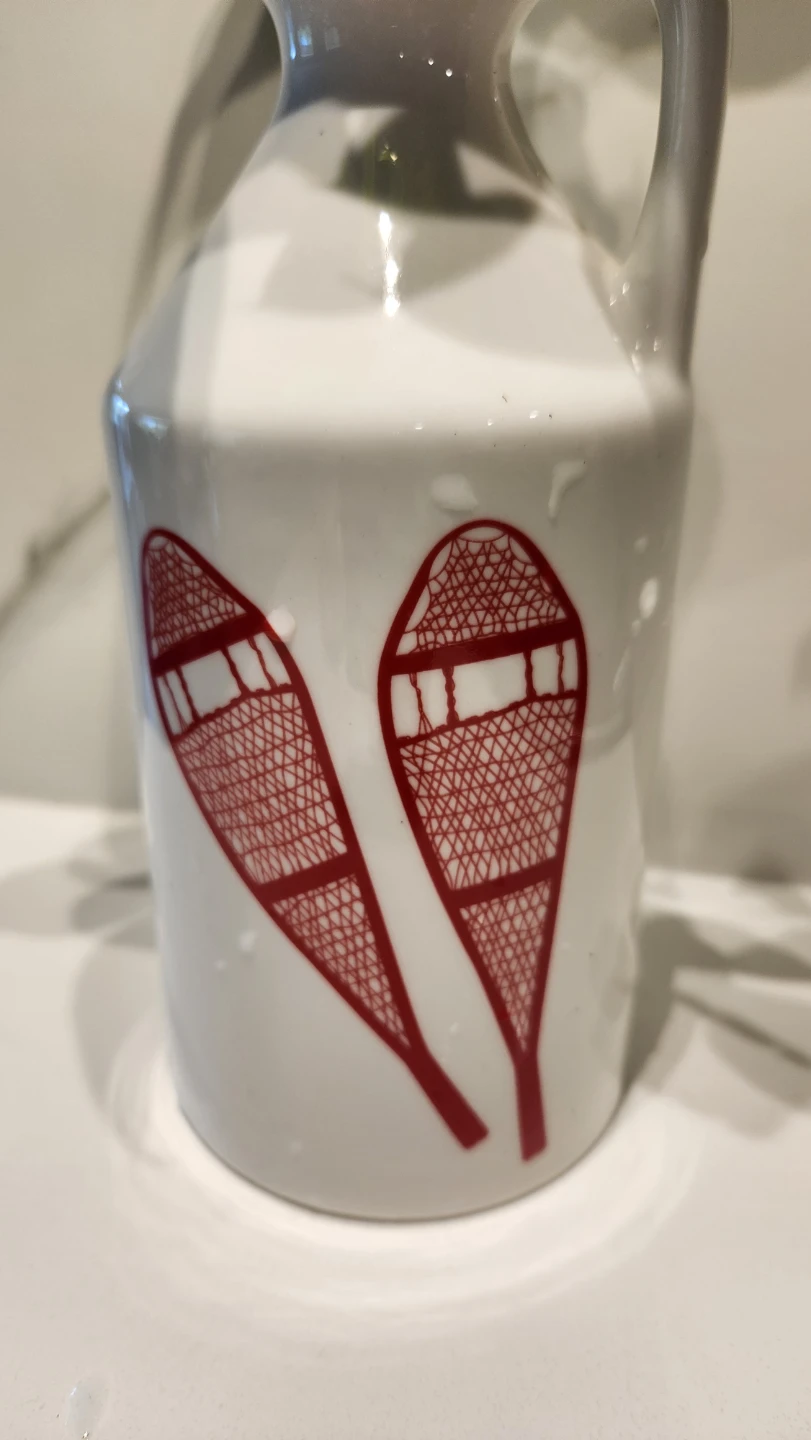 Canadiana upcycled Avon jug planter with plants - photo 2