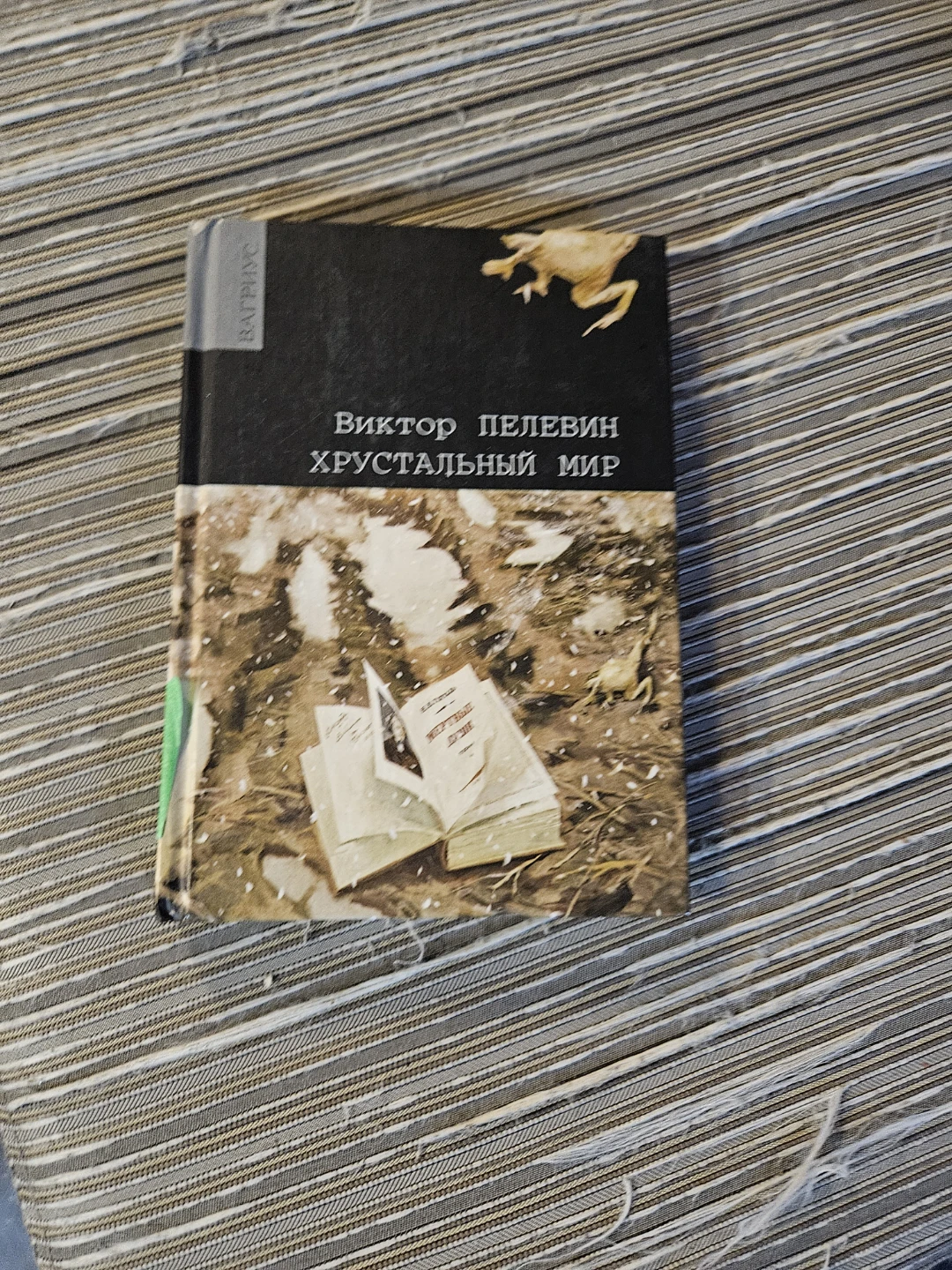 Viktor Pelevin Krystalnyy Mir Book - photo 2