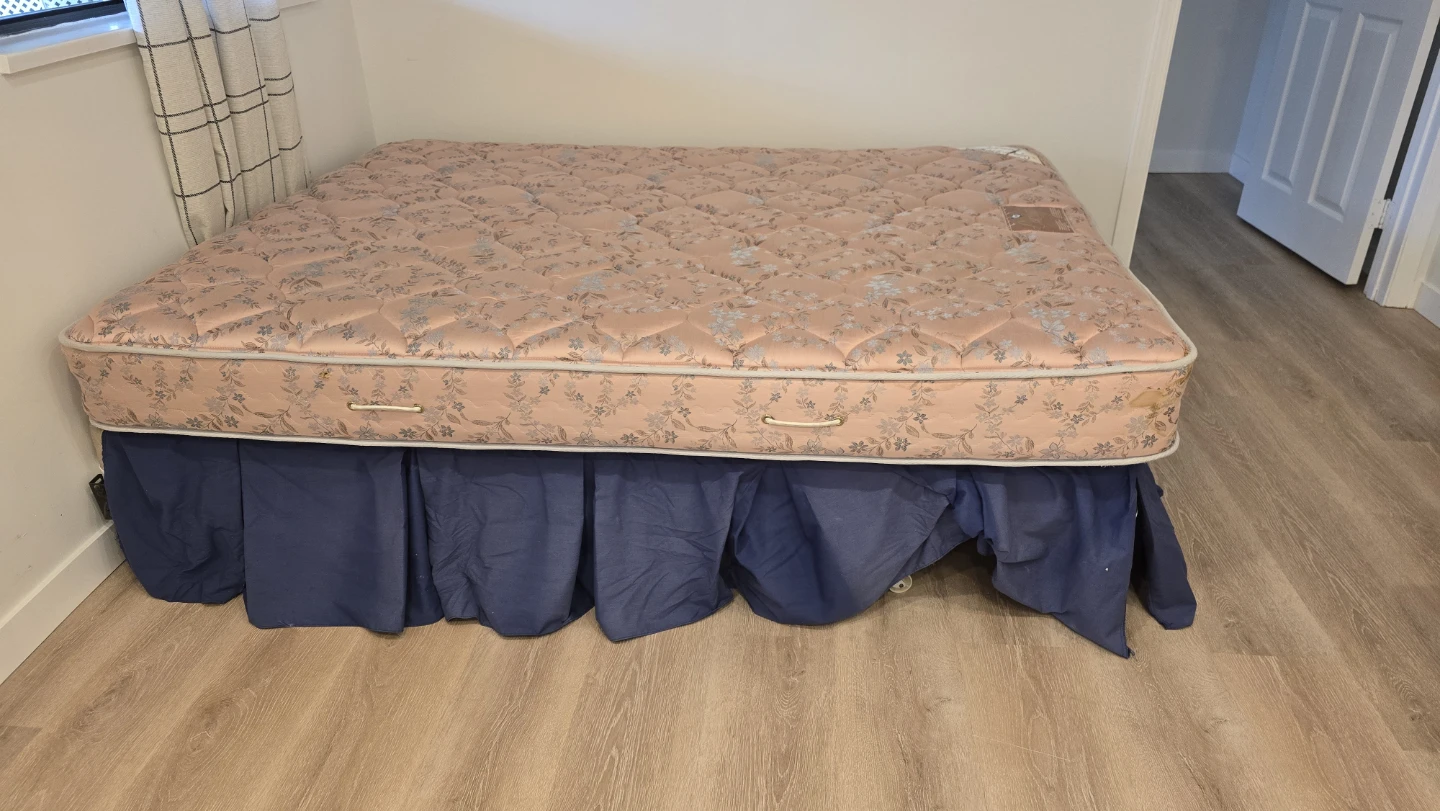Sealy Carnation Queen Size Mattress