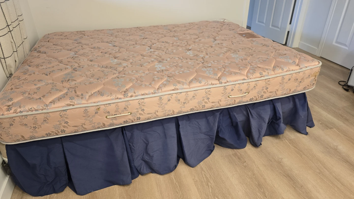 Sealy Carnation Queen Size Mattress - photo 3