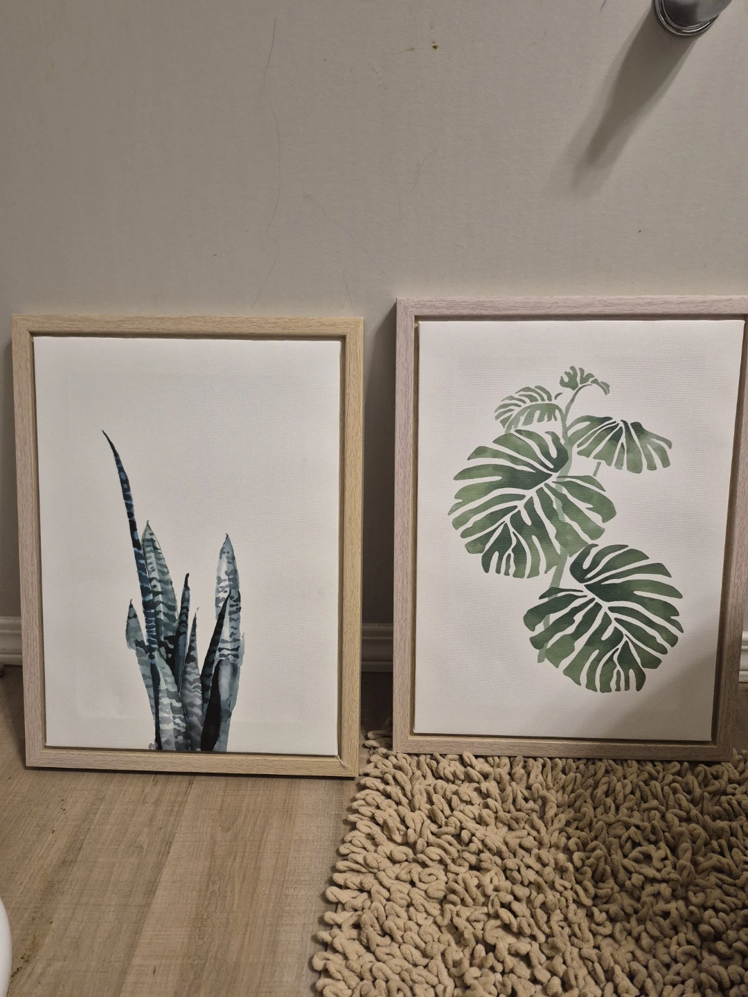 Set of 2 Framed Botanical Prints