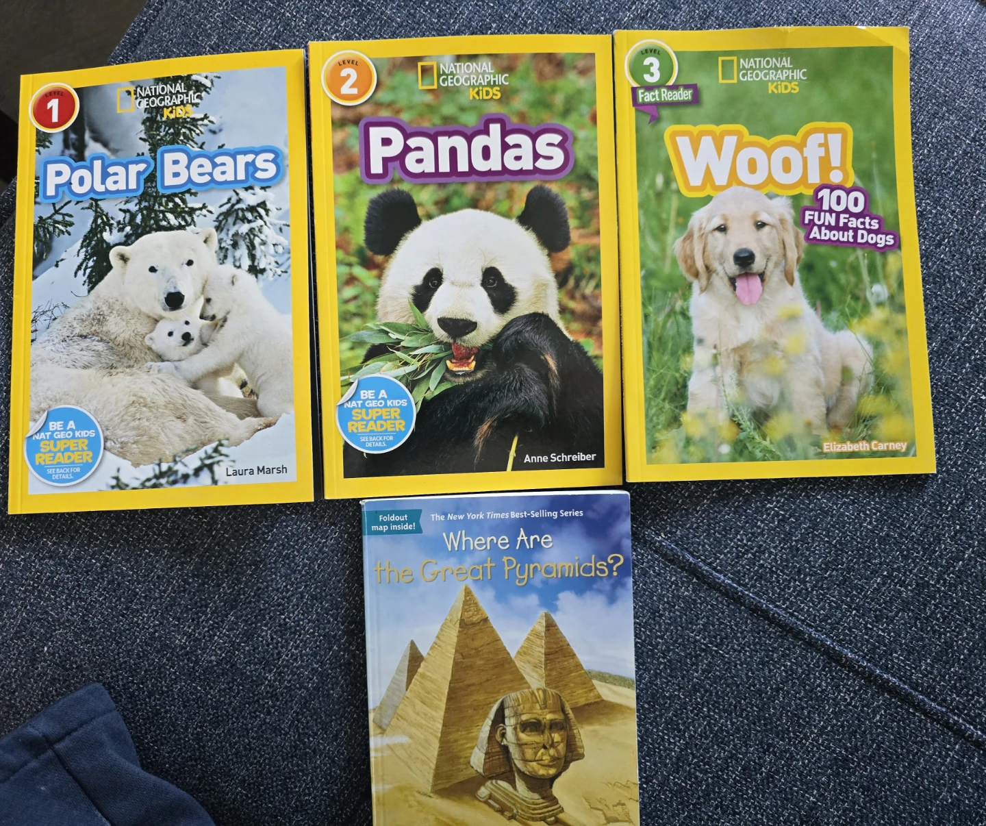 Kids Books - Polar Bears, Pandas, Woof!, Pyramids