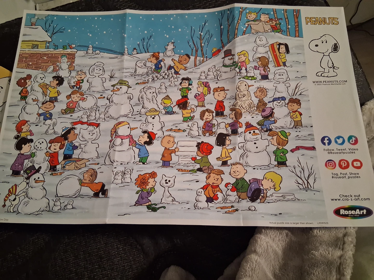 Peanuts 1000 Piece Jigsaw Puzzle