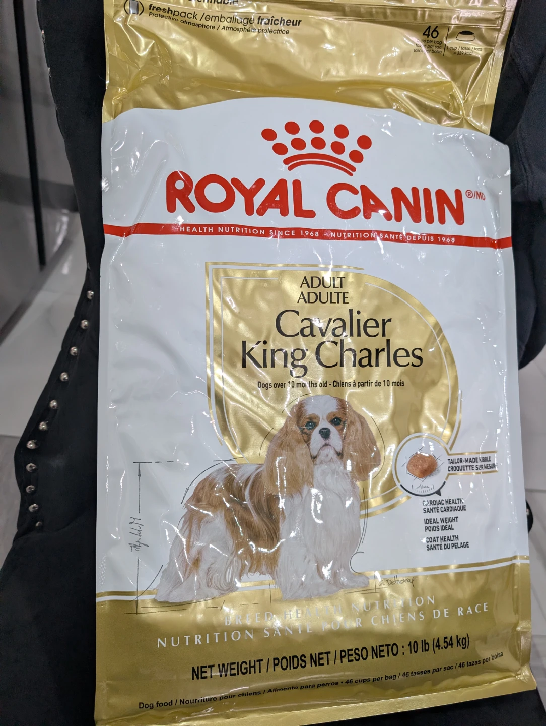 Royal Canin Cavalier King Charles Adult Dog Food 10 lb