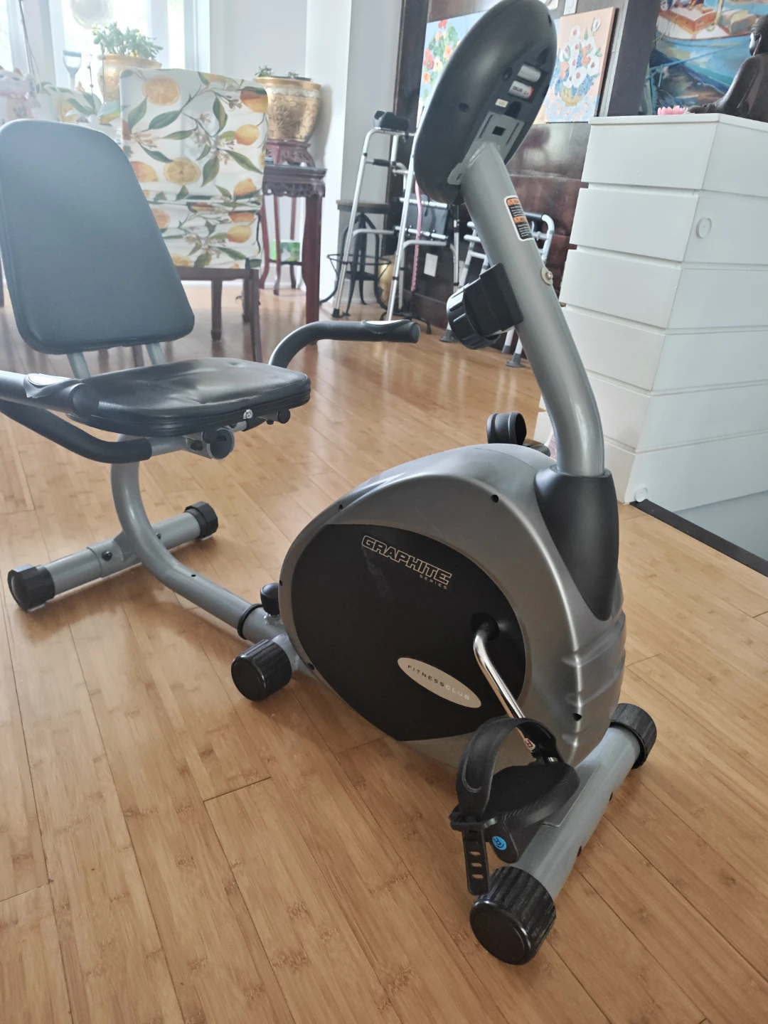 Graphite Fitness Club Recumbent Exercise Bike