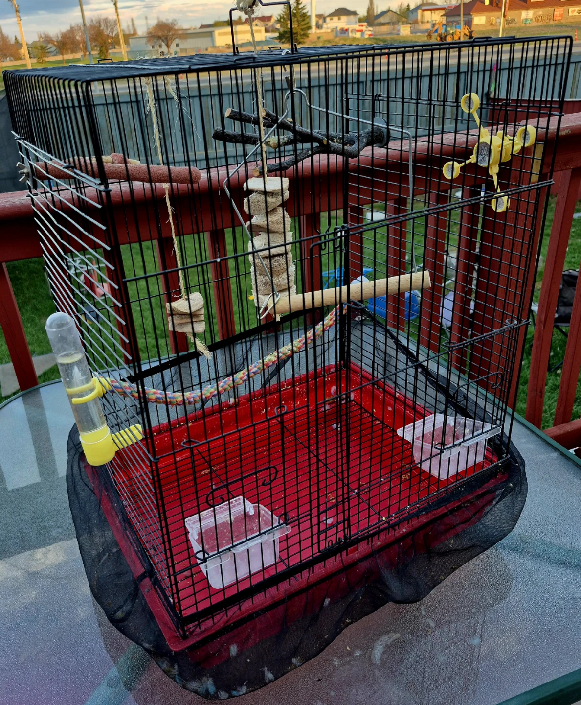 Large Birds Cage PLUS Accessories *REAL DEAL*
