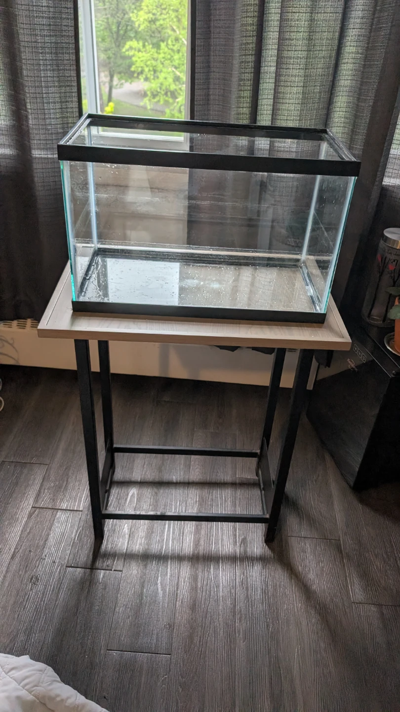 10 Gallon Tank with stand & accessories