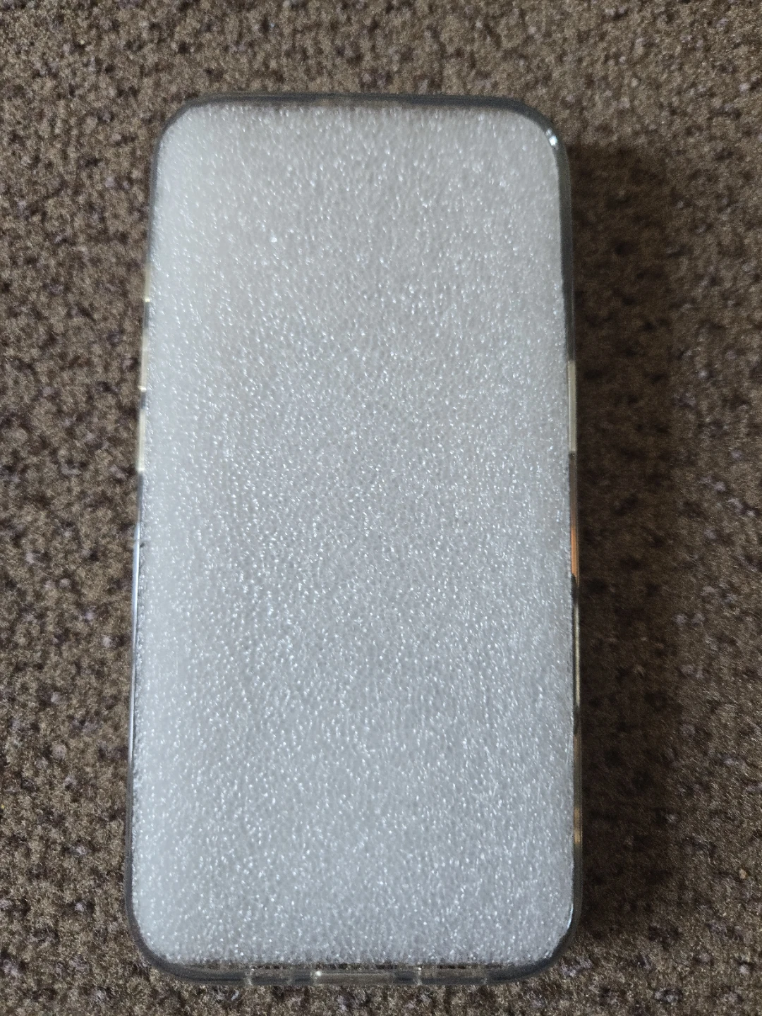 Clear iPhone 16 Pro Case with Cute Animal Stickers - photo 2