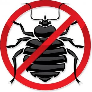 Pest Control Services for Kitchener Waterloo