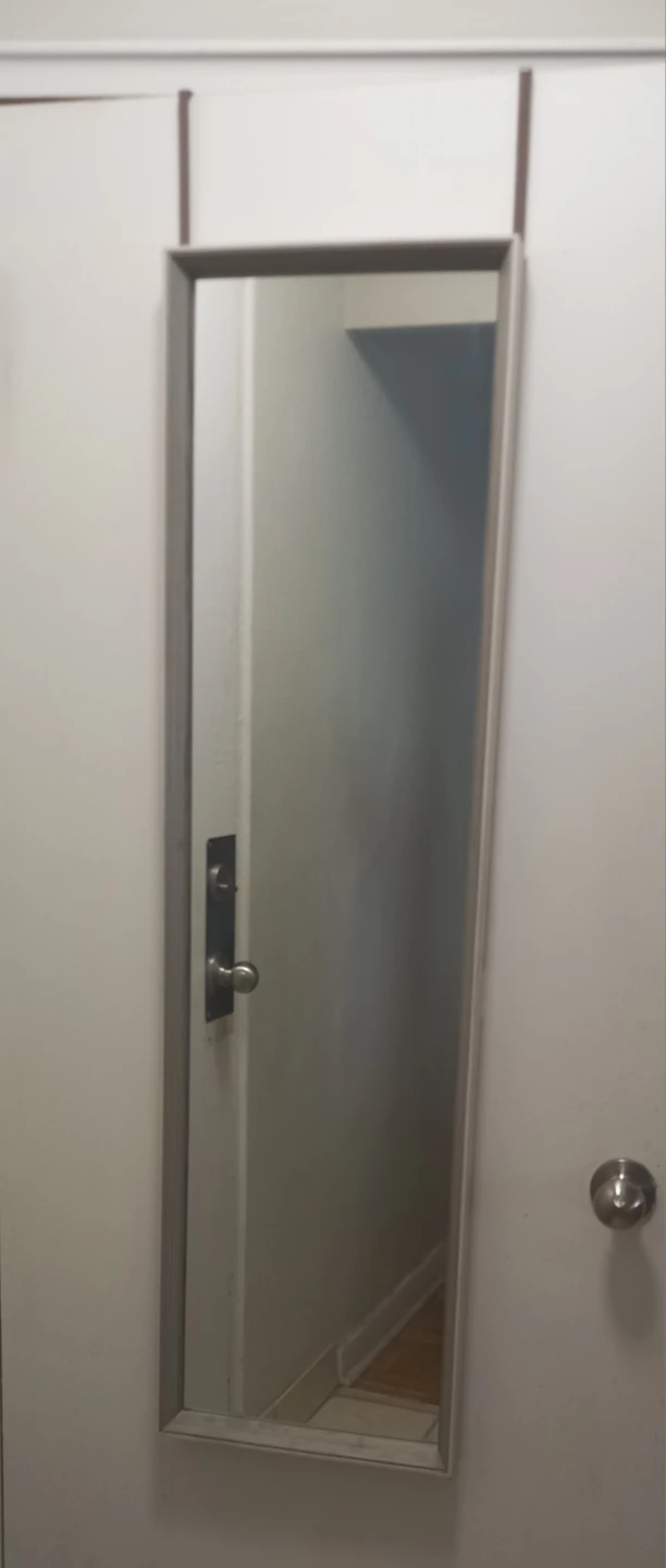 Over the Door Mirror with Hooks