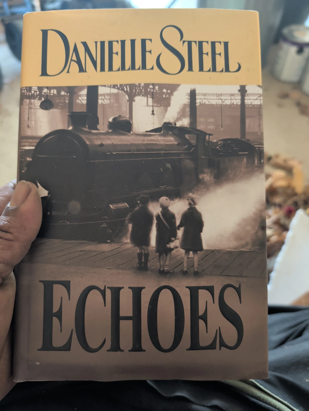 Danielle Steel Novels - Echoes, The Dark Side, Blue