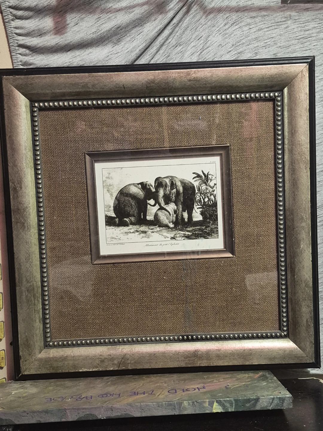 Framed Vintage Elephant Print