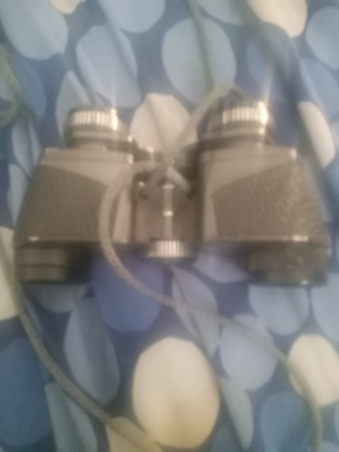 Vintage Binoculars with Neck Strap