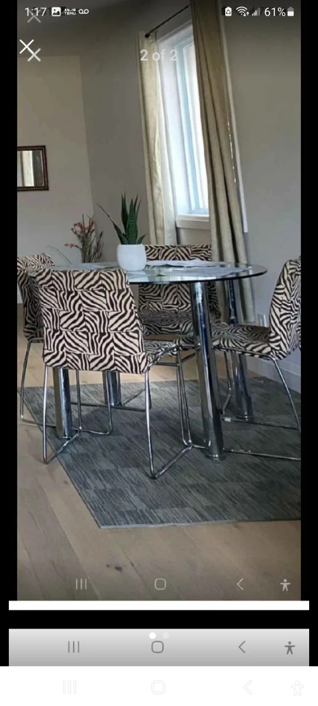 Zebra Print Dining Chairs (Set of 4)