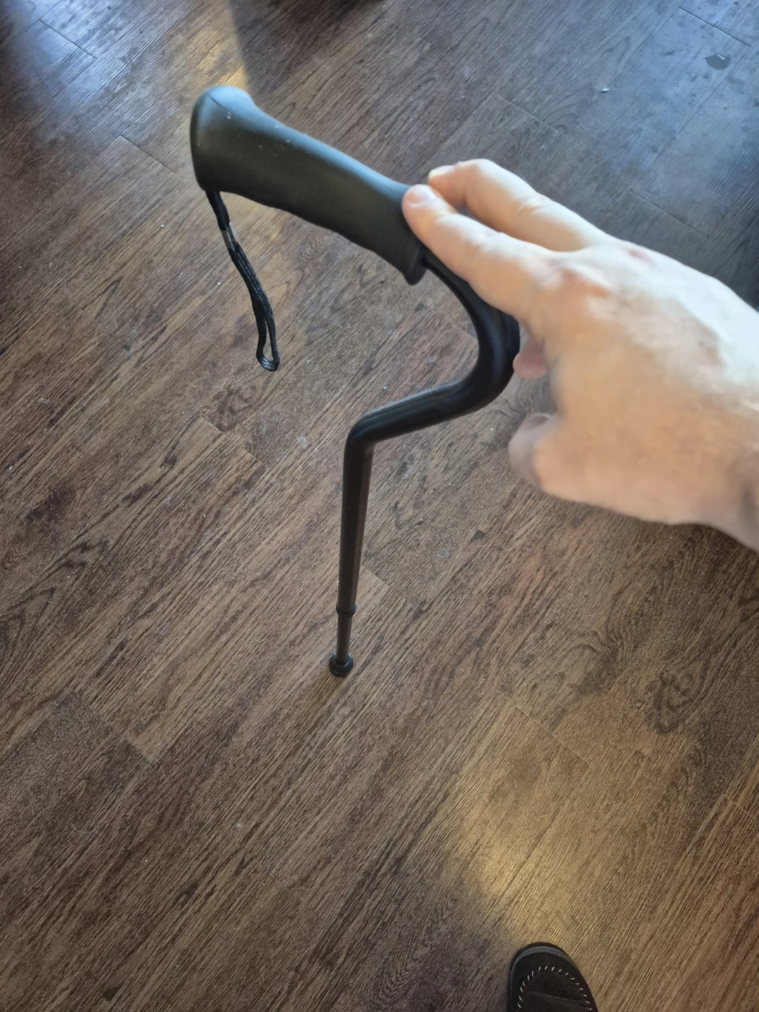Carex Walking Cane