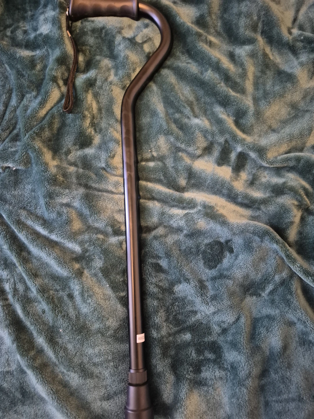 Carex Walking Cane - photo 2