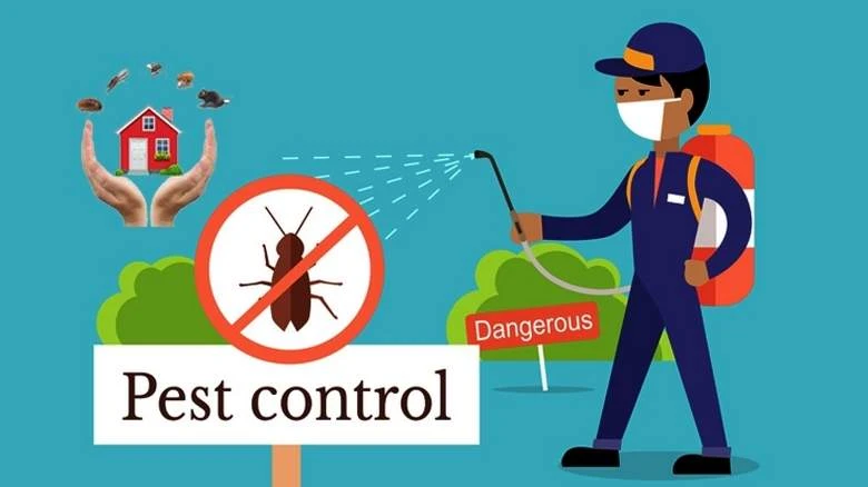 Pest MAKE YOU SICK. GET RID OF THEM