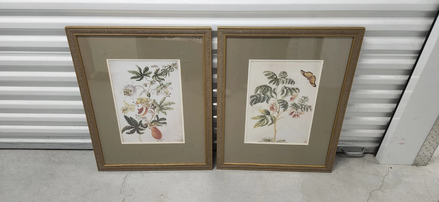Picture of 2, one for $10? 28*34"