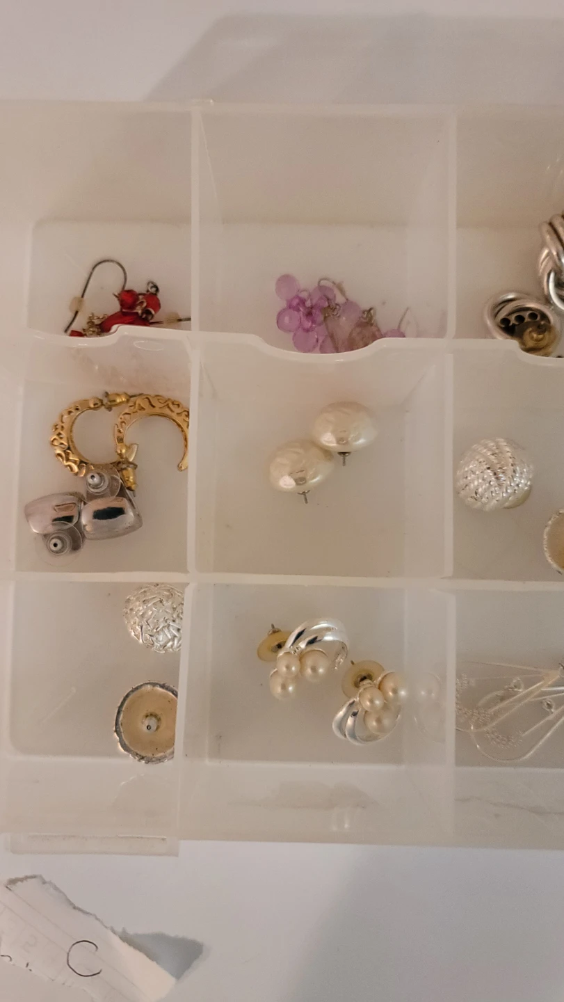 Assorted Earrings Lot (C)