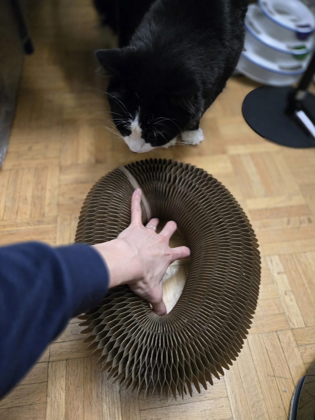 Cardboard Cat Scratcher with Ball Toy expandable - photo 3