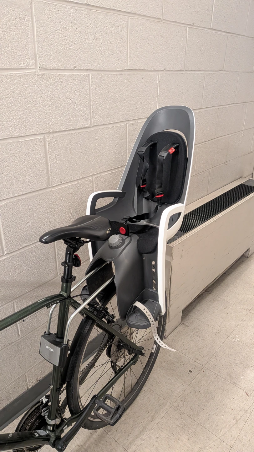 Hamax Caress C3 Child Bike Seat