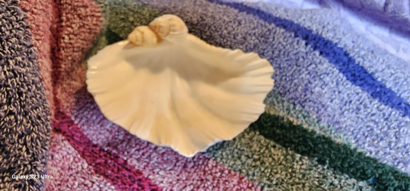 Seashell trinket dish with glass accents