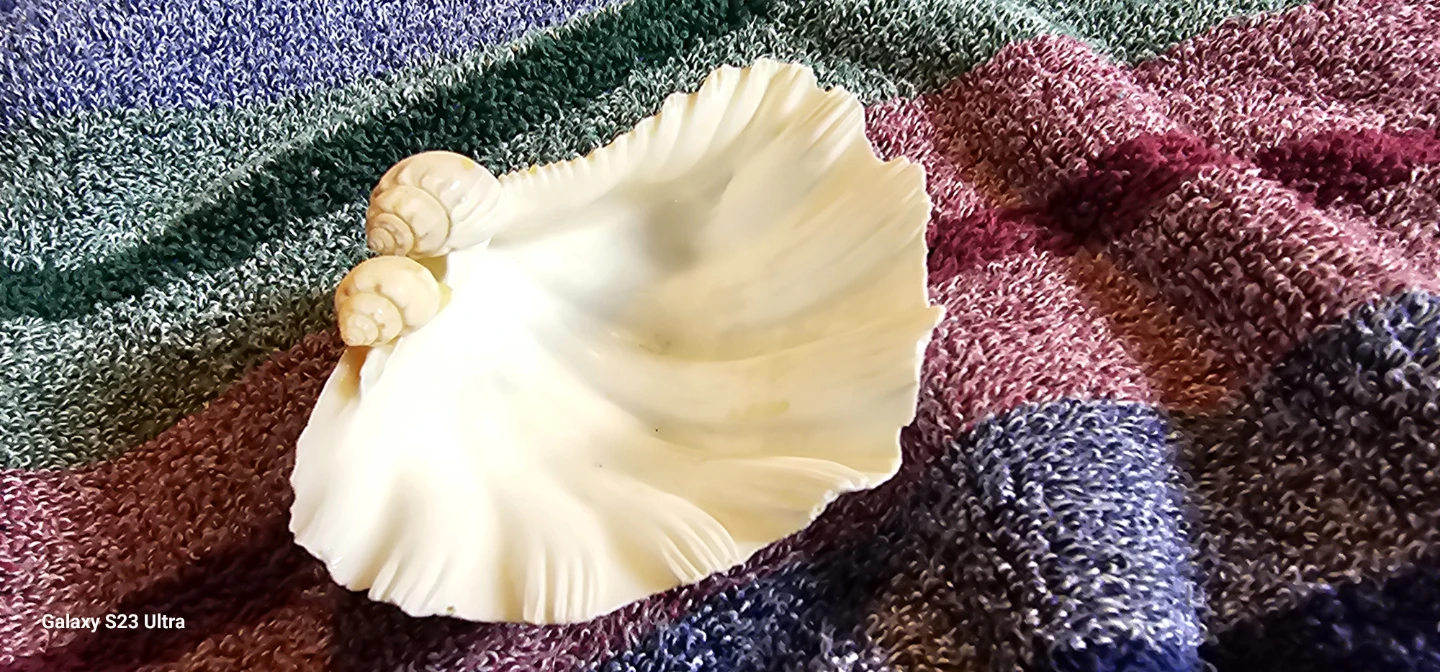 Seashell trinket dish with glass accents - photo 4
