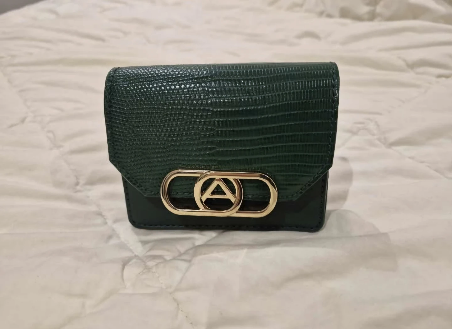 Aldo Purse