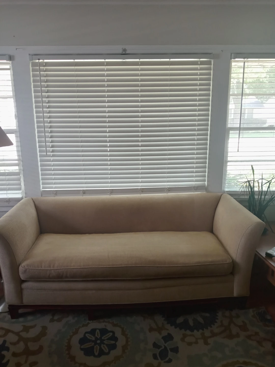 Elegant Sofa Couch