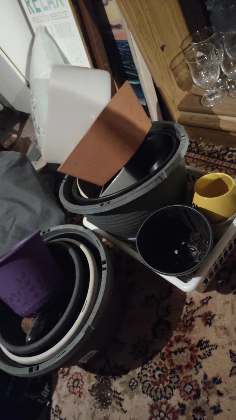 Assorted Planters and Garden Pots